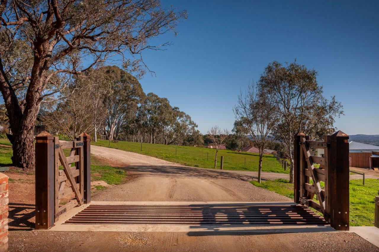 Angaston Saleyards Luxury Accommodation Ngoại thất bức ảnh